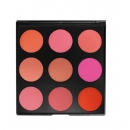 9B - THE BLUSHED PALETTE