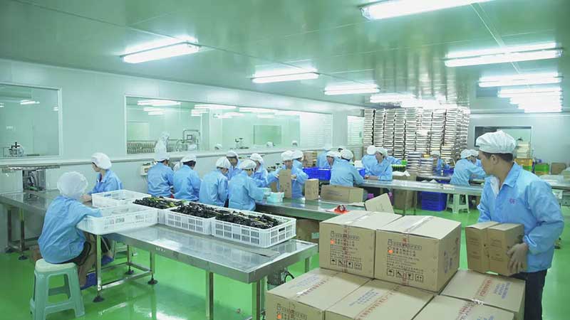 Visit Our Partner Factory