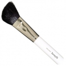 Benefit slant powder brush