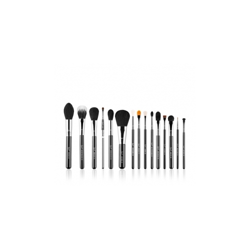 Sigma Premium Professional brush Kit