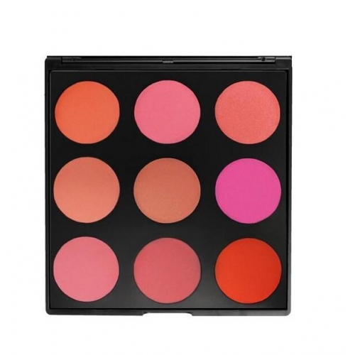 9B - THE BLUSHED PALETTE